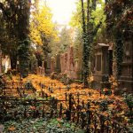 Židovský hřbitov – Zajímavé místo v Brně