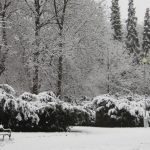 Brno pod sněhem – galerie
